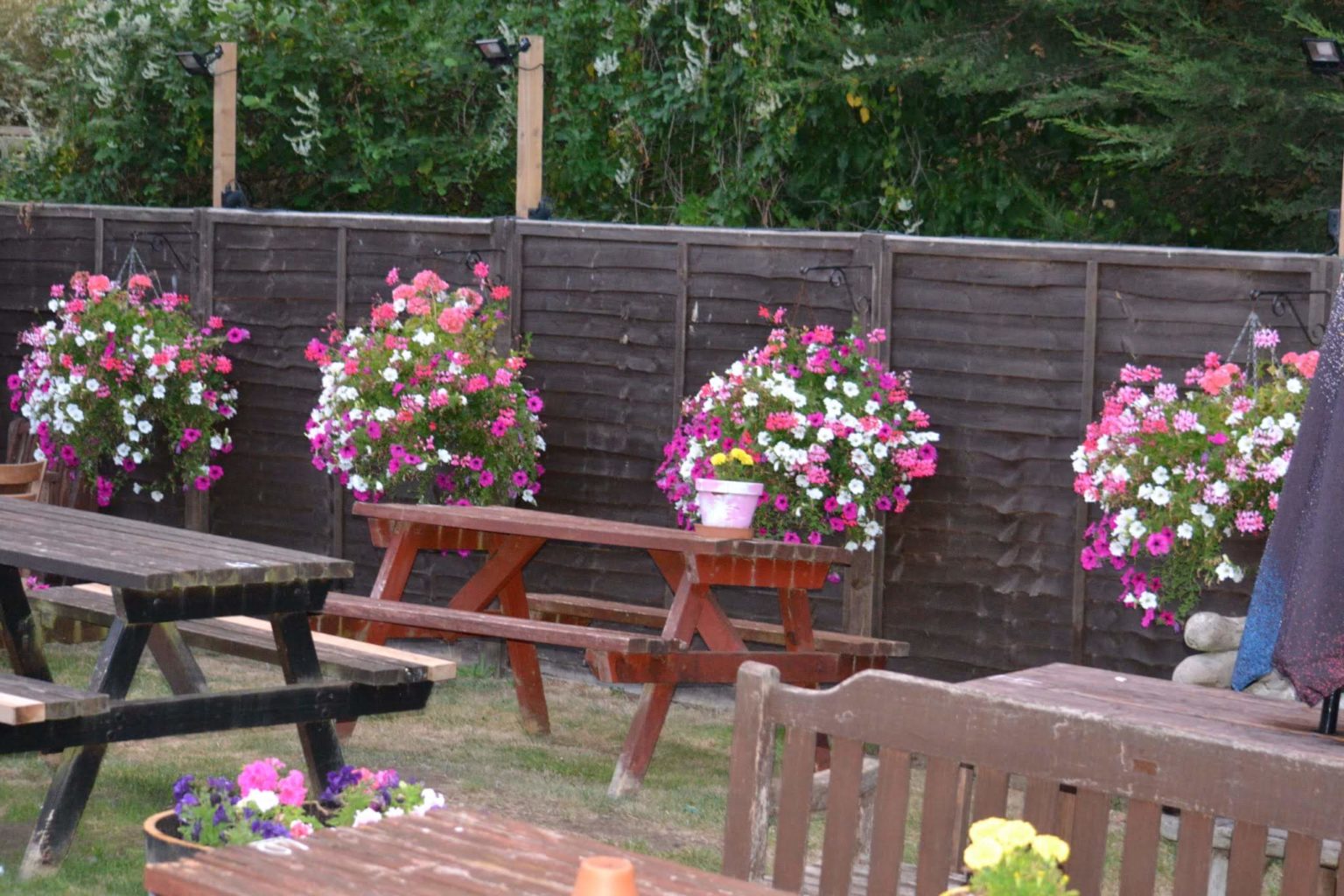 The Compasses Inn Garden